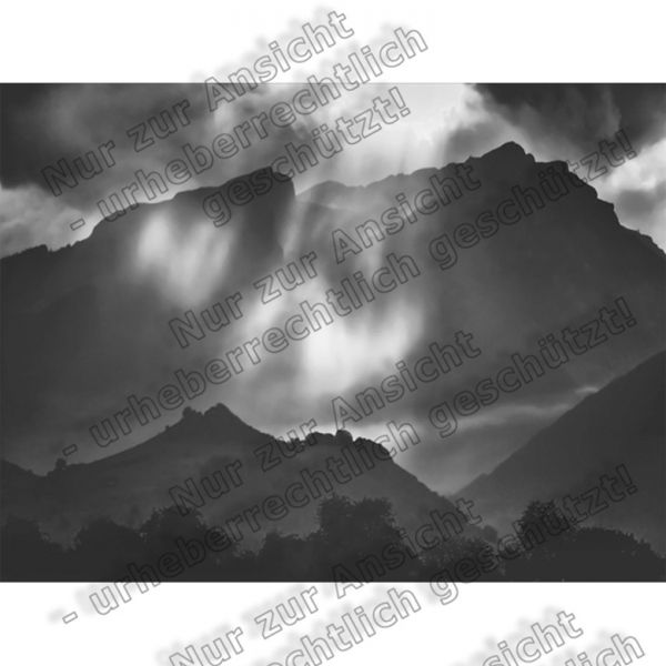 12/2008 - 21199