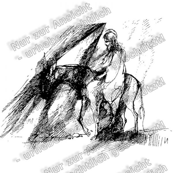 Basiskatalog - 12196