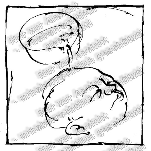 Basiskatalog - 05513